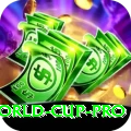 2024 t20 world cup - Champion v1.7.9