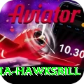 antigua hawksbill Gold v4.3.3