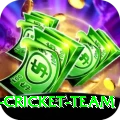 australia cricket team Pro Edition v2.7.7
