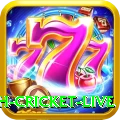 bangladesh cricket live Turbo v2.2.5