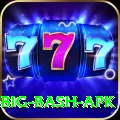 bbl big bash apk Master Pro v4.4.3