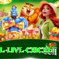 bpl live cricket VIP