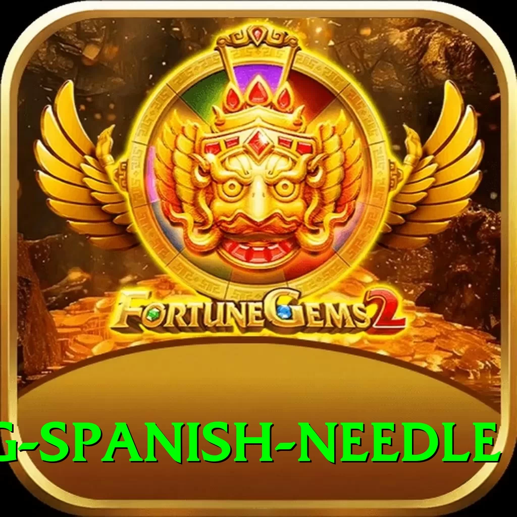 canyoning spanish needle Apps (Tools & Injectors) Deluxe v4.5.6 - 2