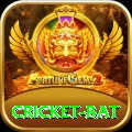 cricket bat VIP Edition v2.6.6