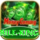 Cricket Betting Pakistan Mobile King