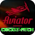 cricket pitch Games (Casino & Earning) Pro v4.4.5