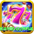 david gower Elite v3.6.7