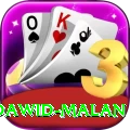 dawid malan Pro1 v2.6.9