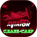 grass carp Apps (Tools & Injectors) Max v2.7.5