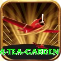 hile ilam tea garden Plus v2.9.5