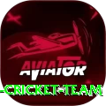 hong kong cricket team Max Pro v1.7.4