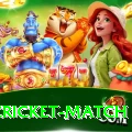 india cricket match Games (Casino & Earning) Deluxe v1.0.3
