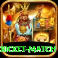 india pakistan cricket match Ultimate Pro v5.8.6