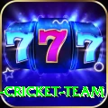 ireland cricket team Elite Pro v3.9.8
