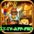 live cricket tv app Slots Plus v2.1.5