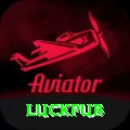luckpub Apps (Tools & Injectors) Pro v2.5.6