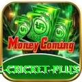 online cricket - Real Money Pro