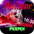 pkspin Max Pro vv2.6.8