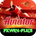 pkwin Pro v4.3.5