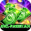 responsible gambling pakistan Turbo v1.3.3