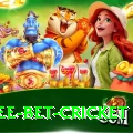 risk free bet cricket Deluxe v1.0.4