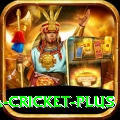 sa cricket Deluxe APK v2.6.4