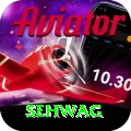 sehwag Apps (Tools & Injectors) Max v3.4.7