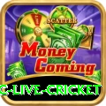 smartcric live cricket Deluxe Pro v5.6.0