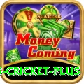 sports cricket - Gaming Pro
