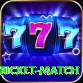 to day cricket match Deluxe Pro v2.7.9