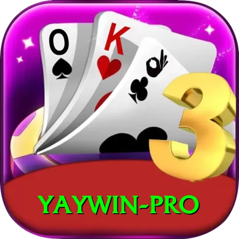 yaywin Pro New - 2